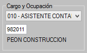 10. Cargo y ocupación