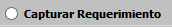 5. Capturar Requerimiento